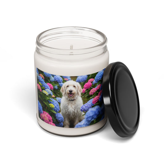 Barbado da Terceira- Scented Soy Candle, 9oz