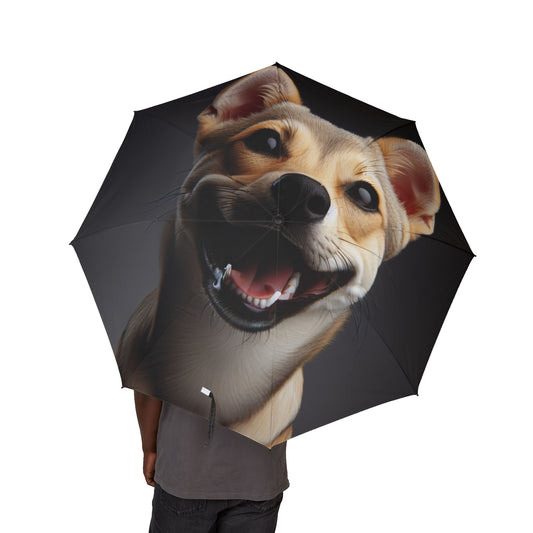 Chippiparai Semi-Automatic Foldable Umbrella