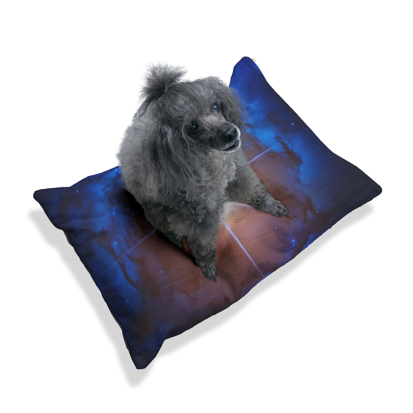 North Star Pet Bed