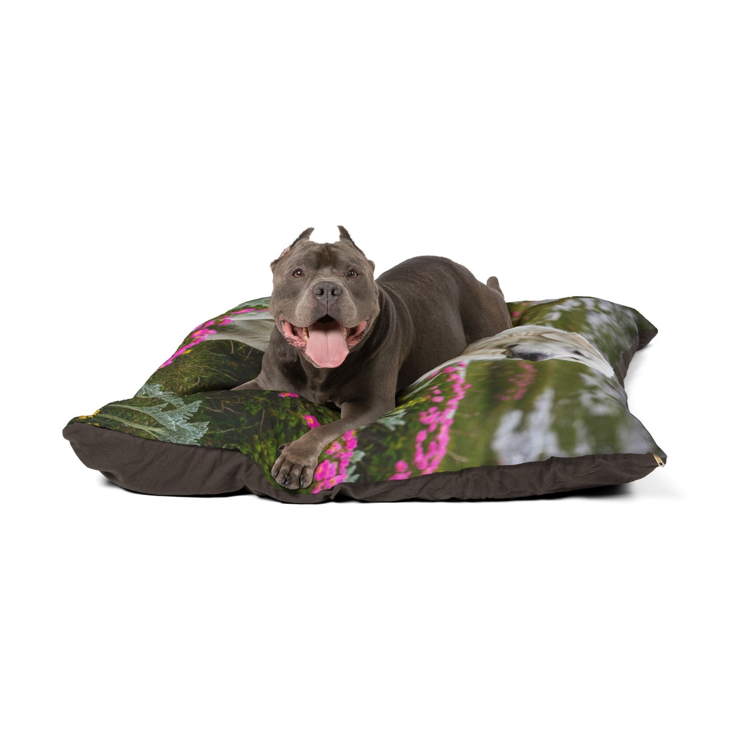 Slovensky Cuvac Pet Bed