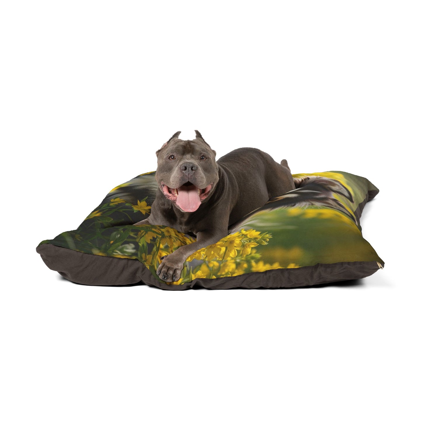 Cama para mascotas para perro lapón sueco