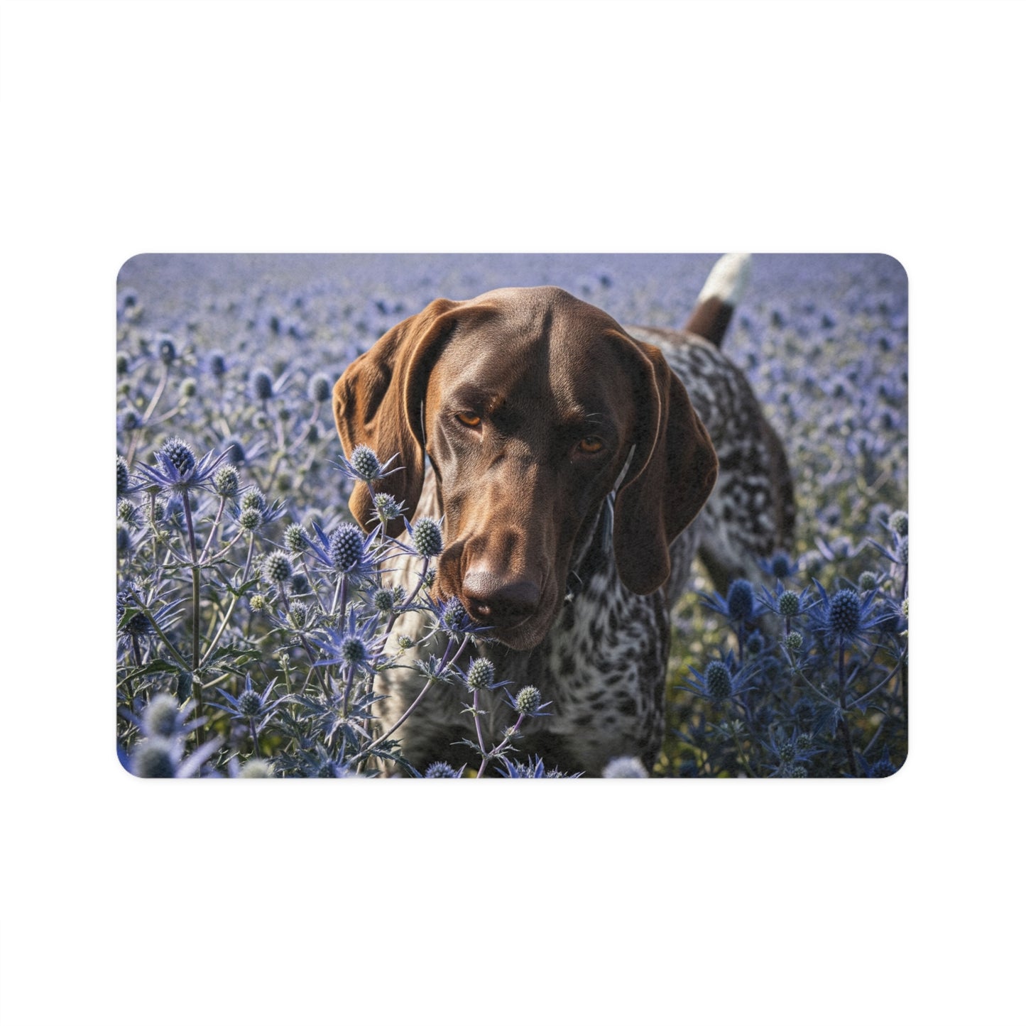 Pet Food Mat (12x18) - German Shorthaired Pointer