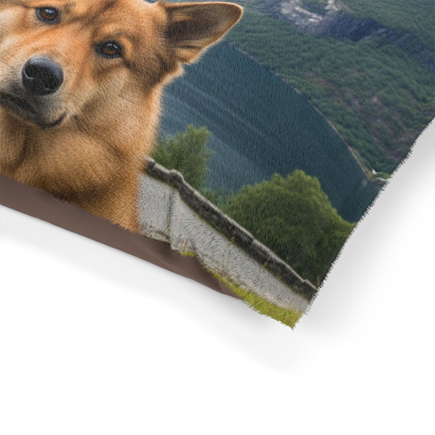 Norwegian Buhund Pet Bed