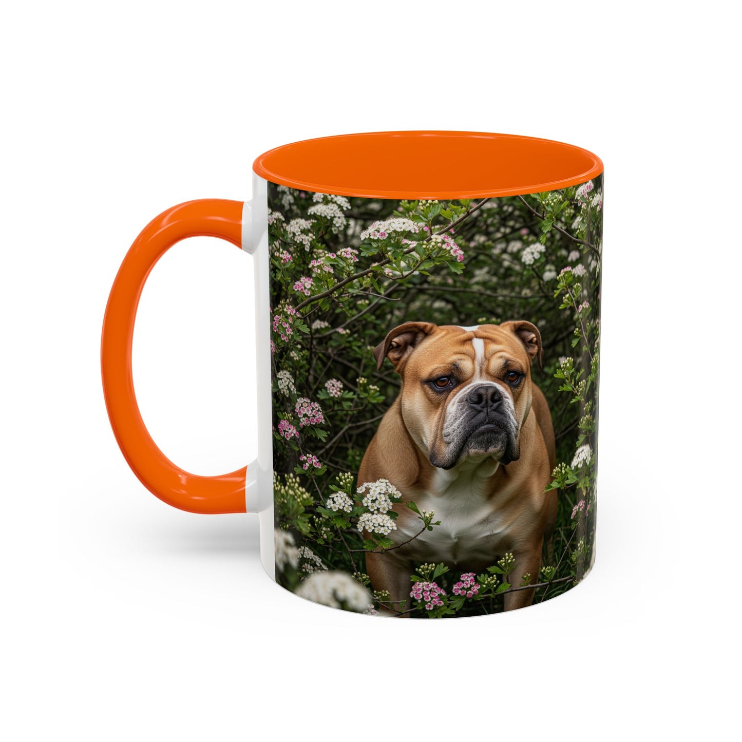 Mug à café Olde English Bulldogge Accent - Cadeau idéal pour les amoureux des chiens