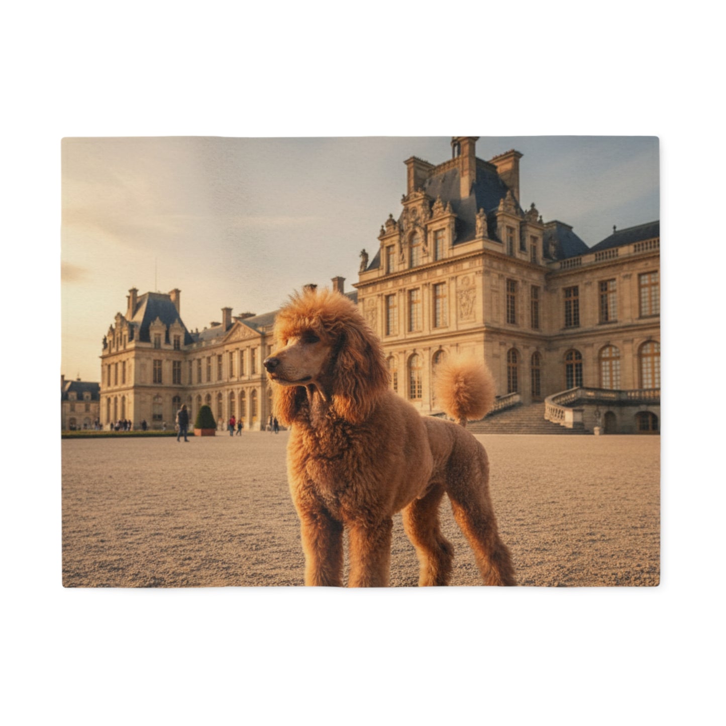 Poodle Blanket