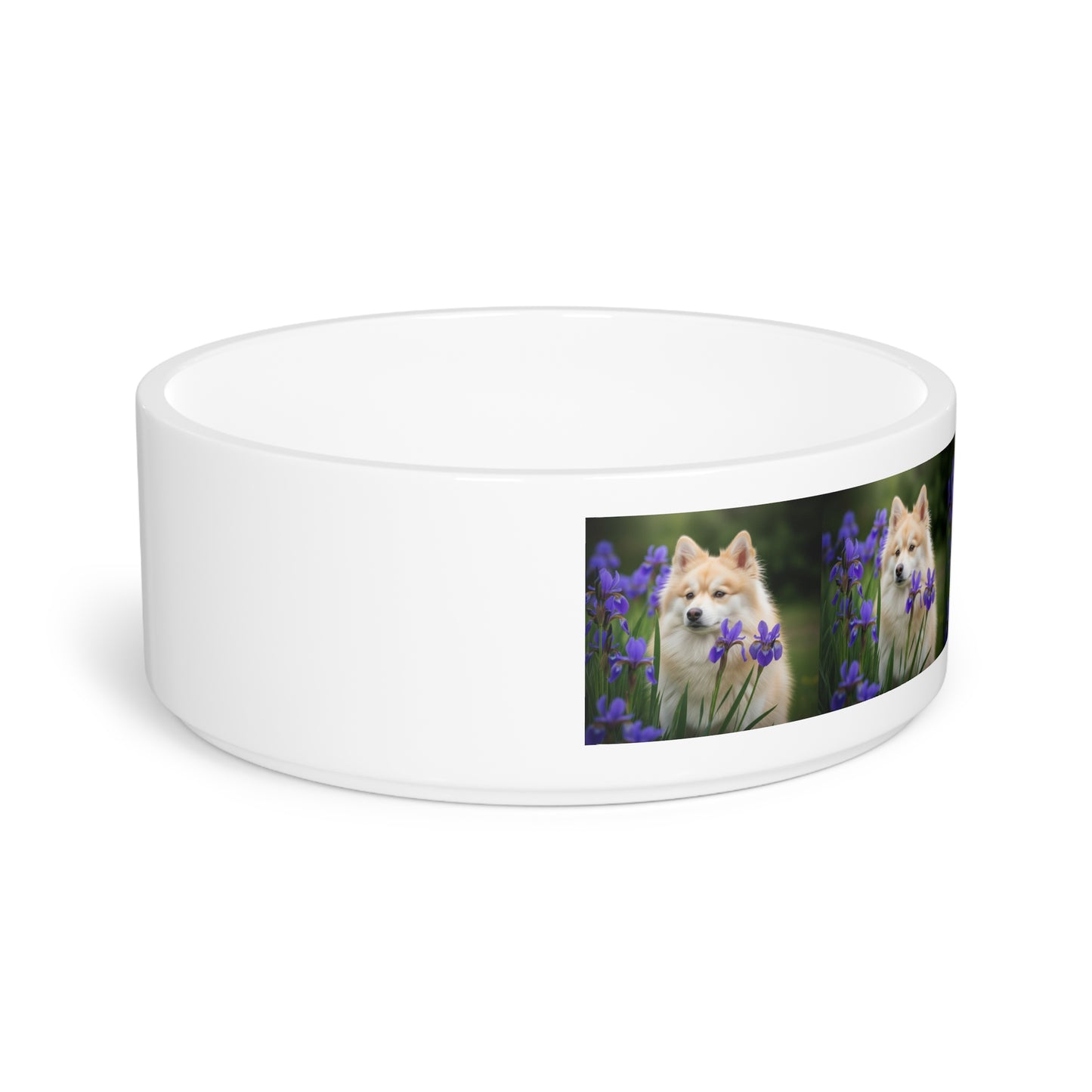 Pomsky Pet Bowl