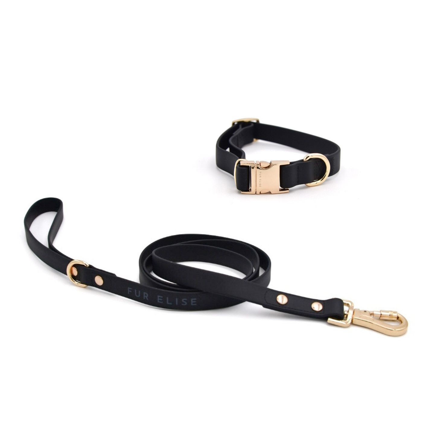 Ensemble collier et laisse Elise - Noir
