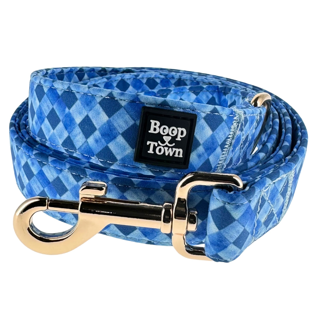 laisses pour chiens