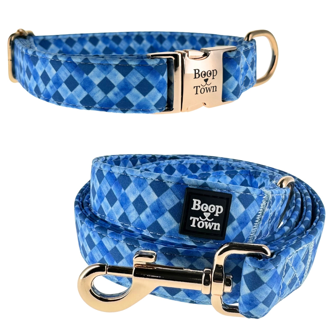 Ensembles collier et laisse pour chien