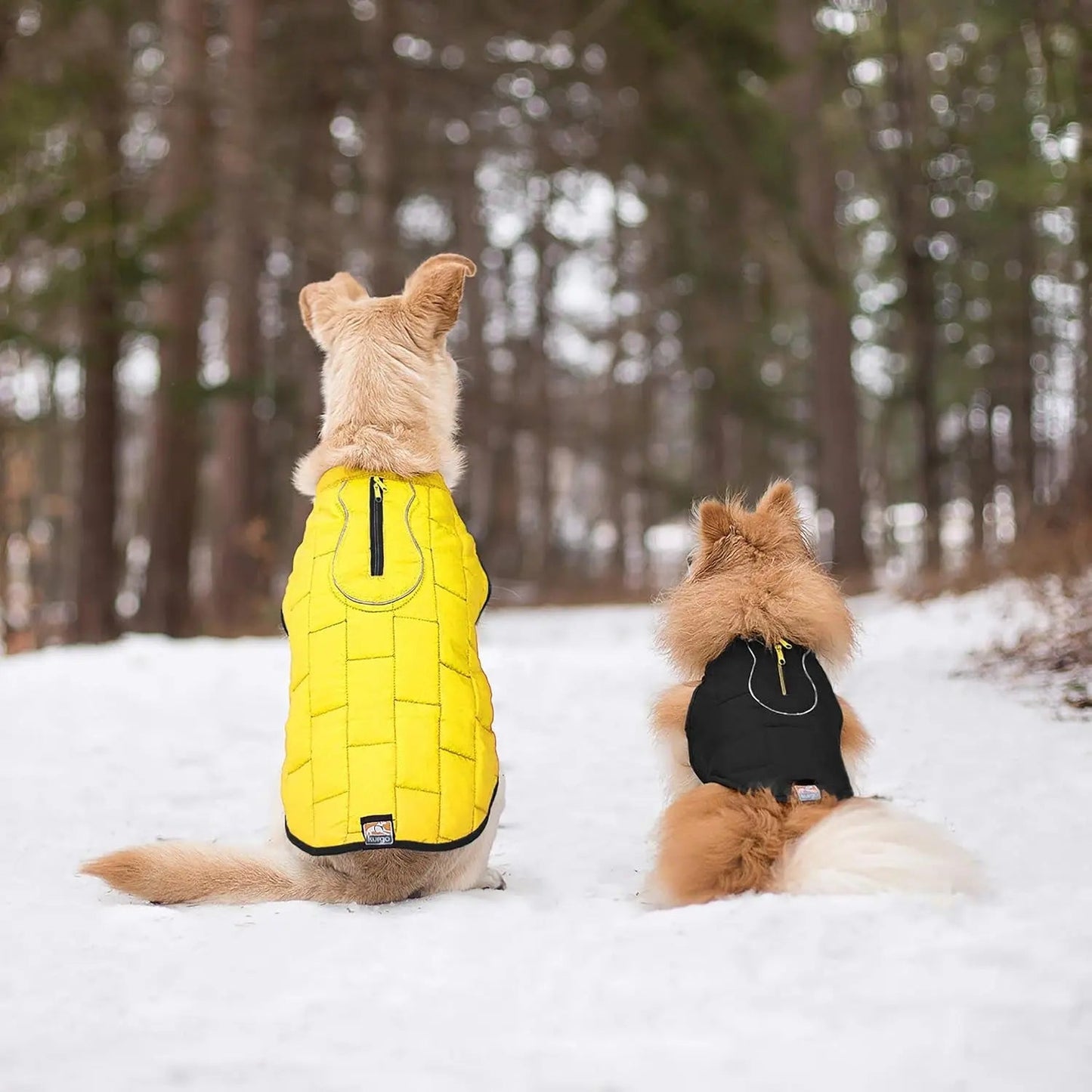 Manteau Loft pour chien, réversible, idéal par temps froid, imperméable et doté de bandes réfléchissantes, noir/jaune, taille moyenne
