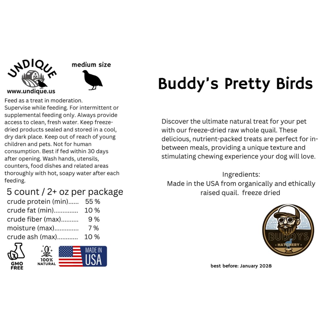 Poussins de caille entiers pour animaux carnivores - Alimentation naturelle à base de proies - Source de protéines de qualité - Poussins de taille moyenne (5 unités)