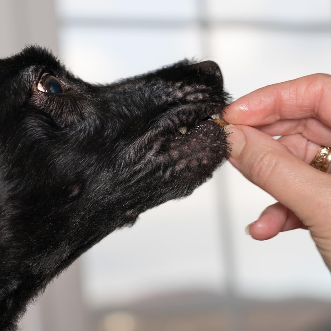 Friandises croustillantes à la caille : gâteries déshydratées gourmandes pour chiens à base de chair et de coquilles de caille | Friandises saines et de qualité supérieure pour l'entraînement | Ingrédients biologiques pour un plaisir gustatif optimal