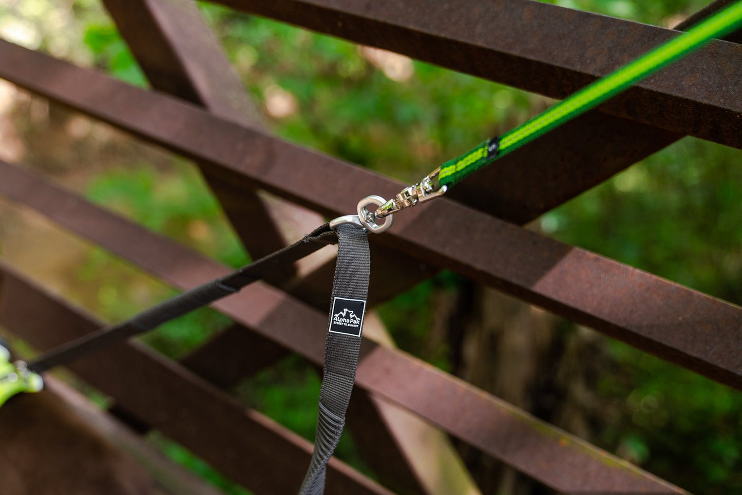 Acoplador elástico para correa de perro Teton gris oscuro