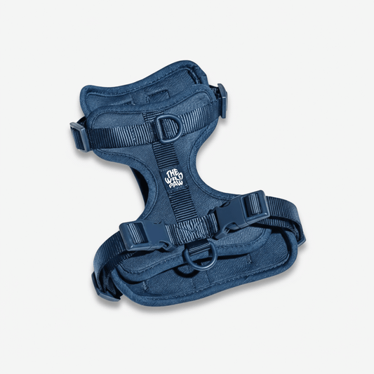Harnais AdventurePro