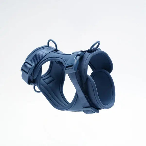 Arnés AdventurePro