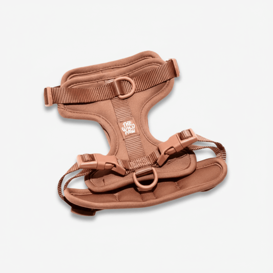 Harnais AdventurePro