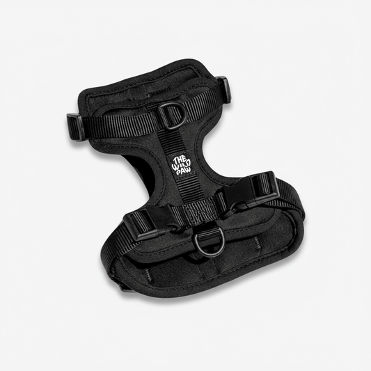 Harnais AdventurePro