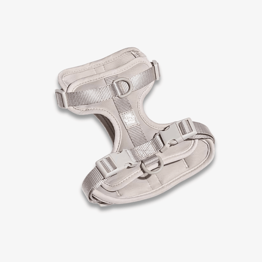 Harnais AdventurePro