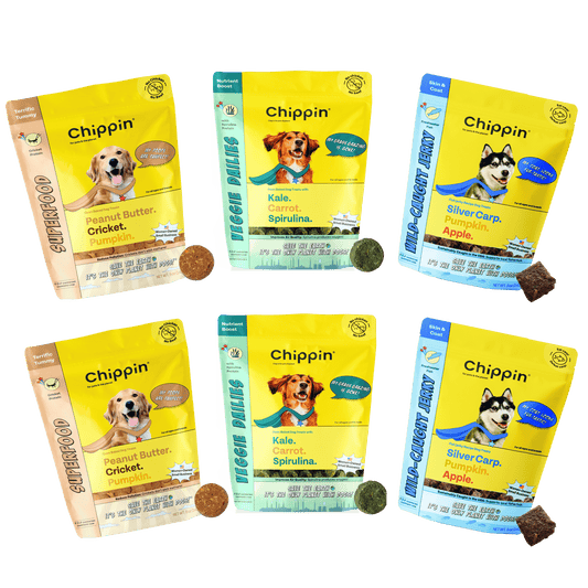Allergy-Friendly Dog Treats, 6-Pack