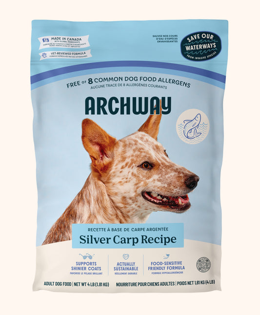 Nourriture pour chiens Silver Carp