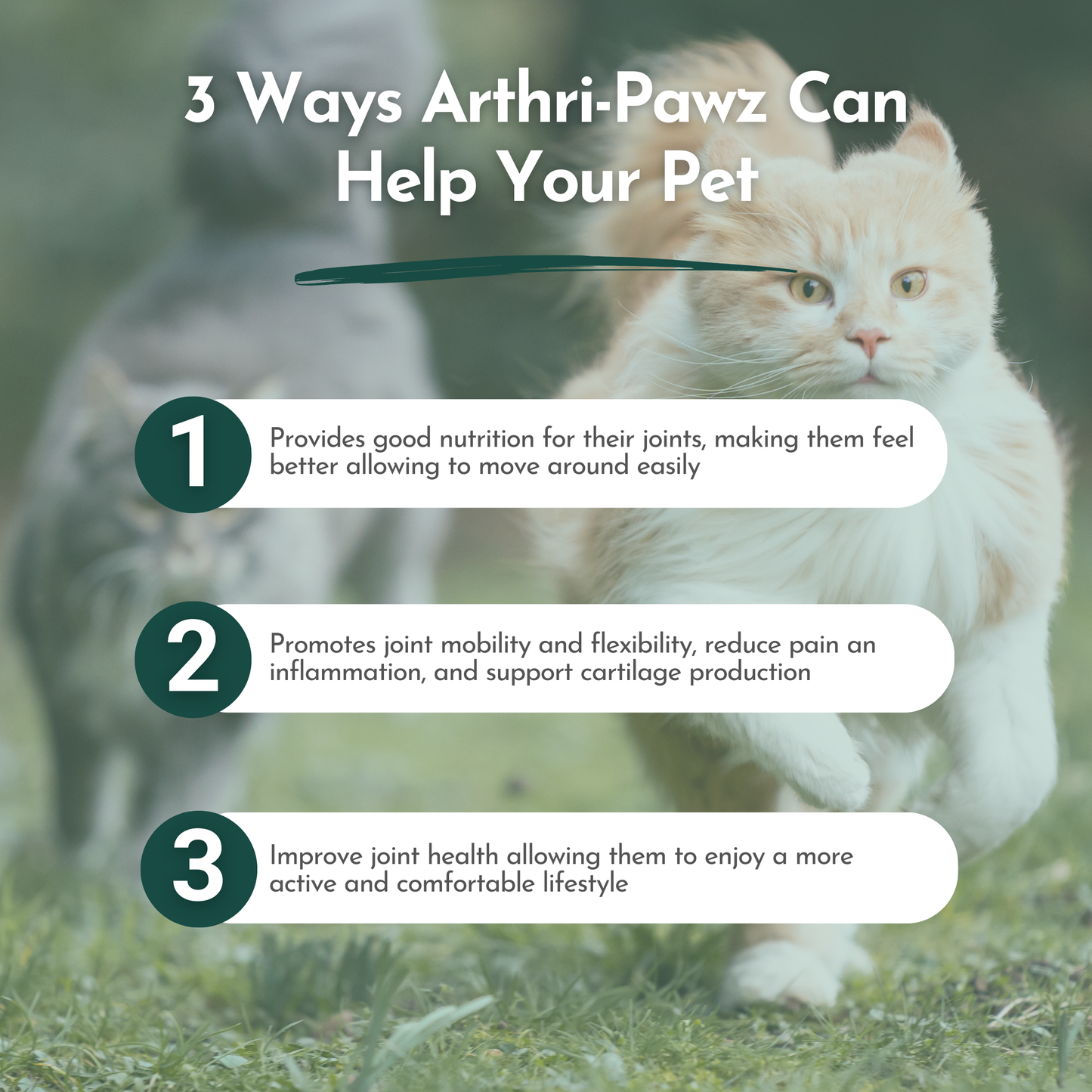 Arthri-Pawz – con glucosamina para gatos y perros 