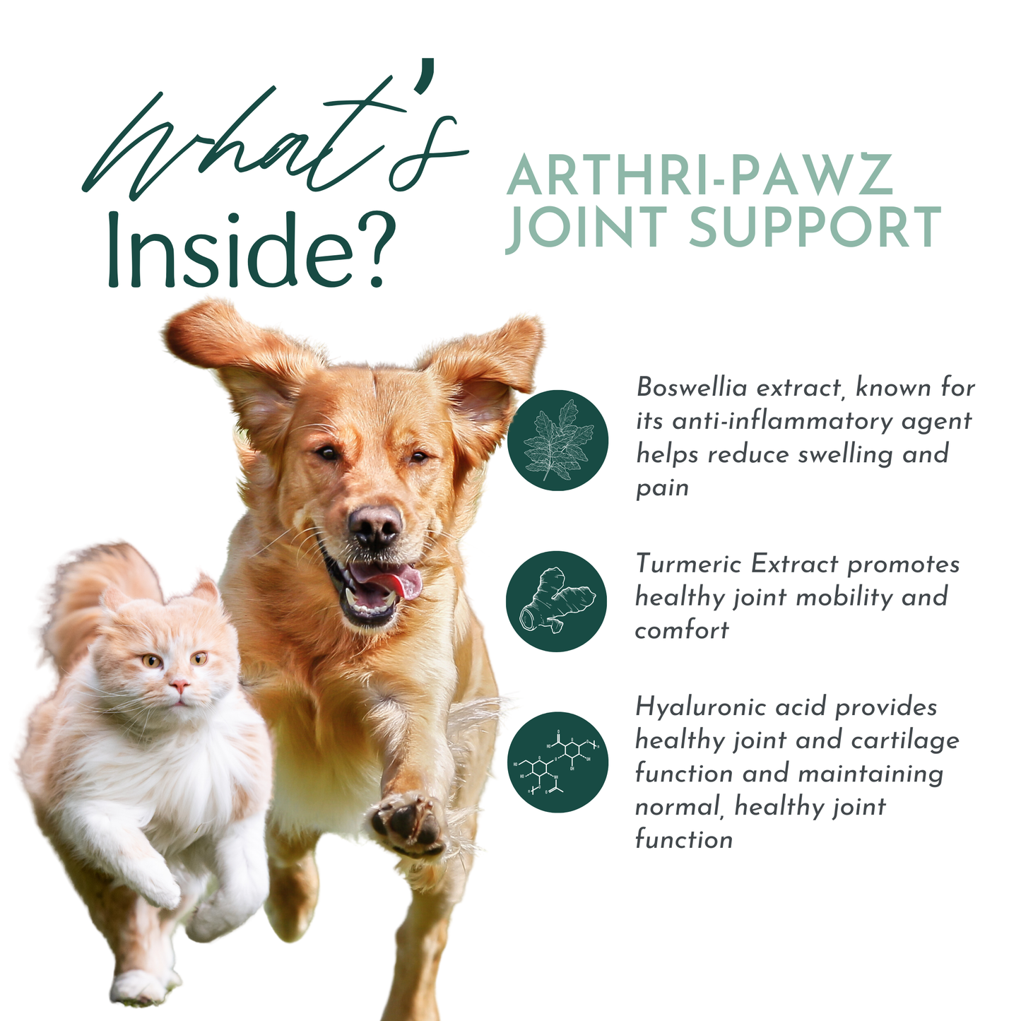 Arthri-Pawz – con glucosamina para gatos y perros 