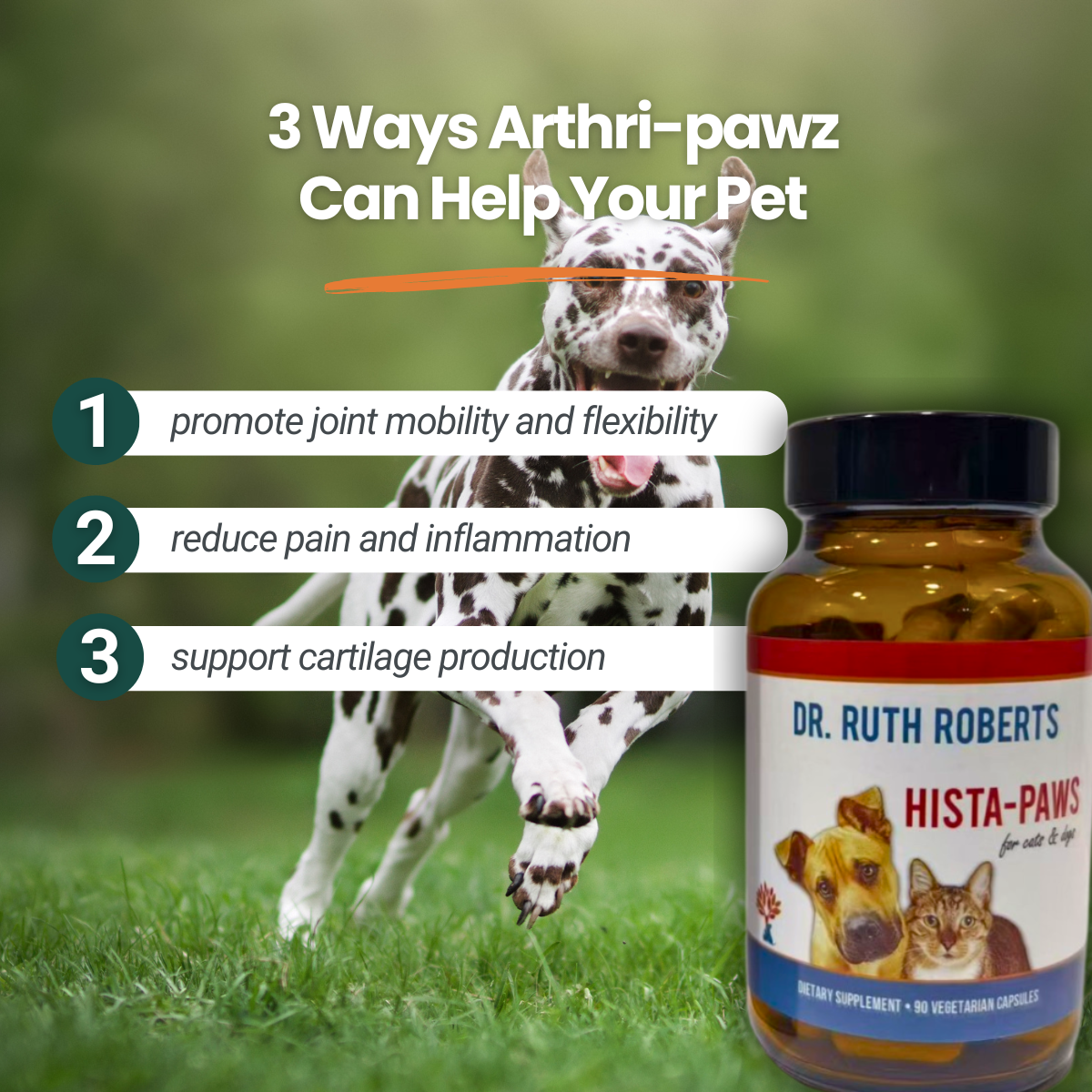 Arthri-Pawz – con glucosamina para gatos y perros 