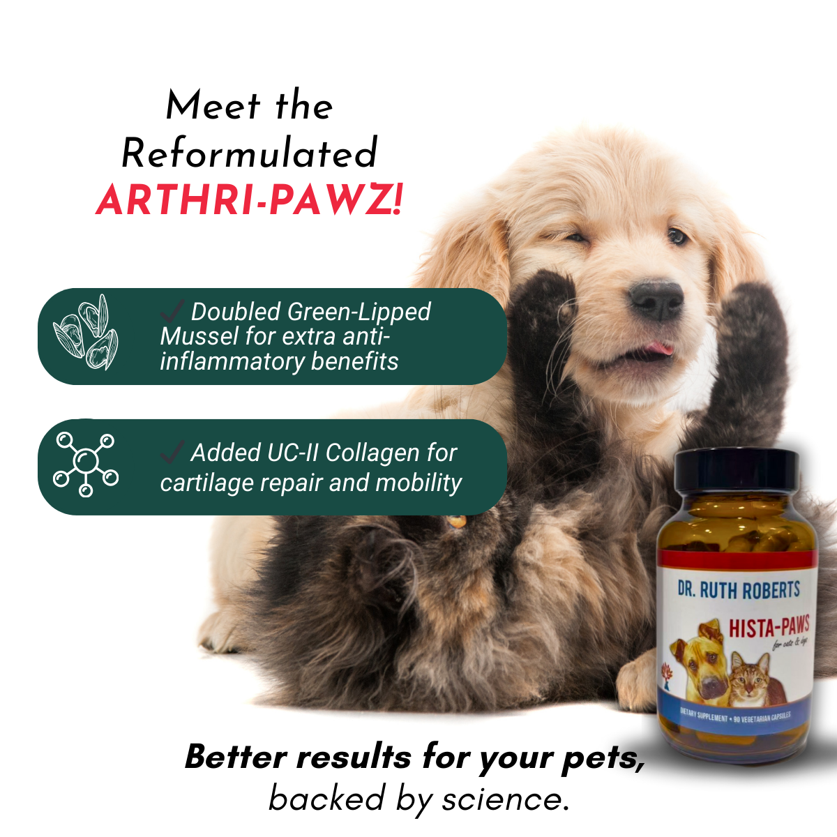 Arthri-Pawz – con glucosamina para gatos y perros 