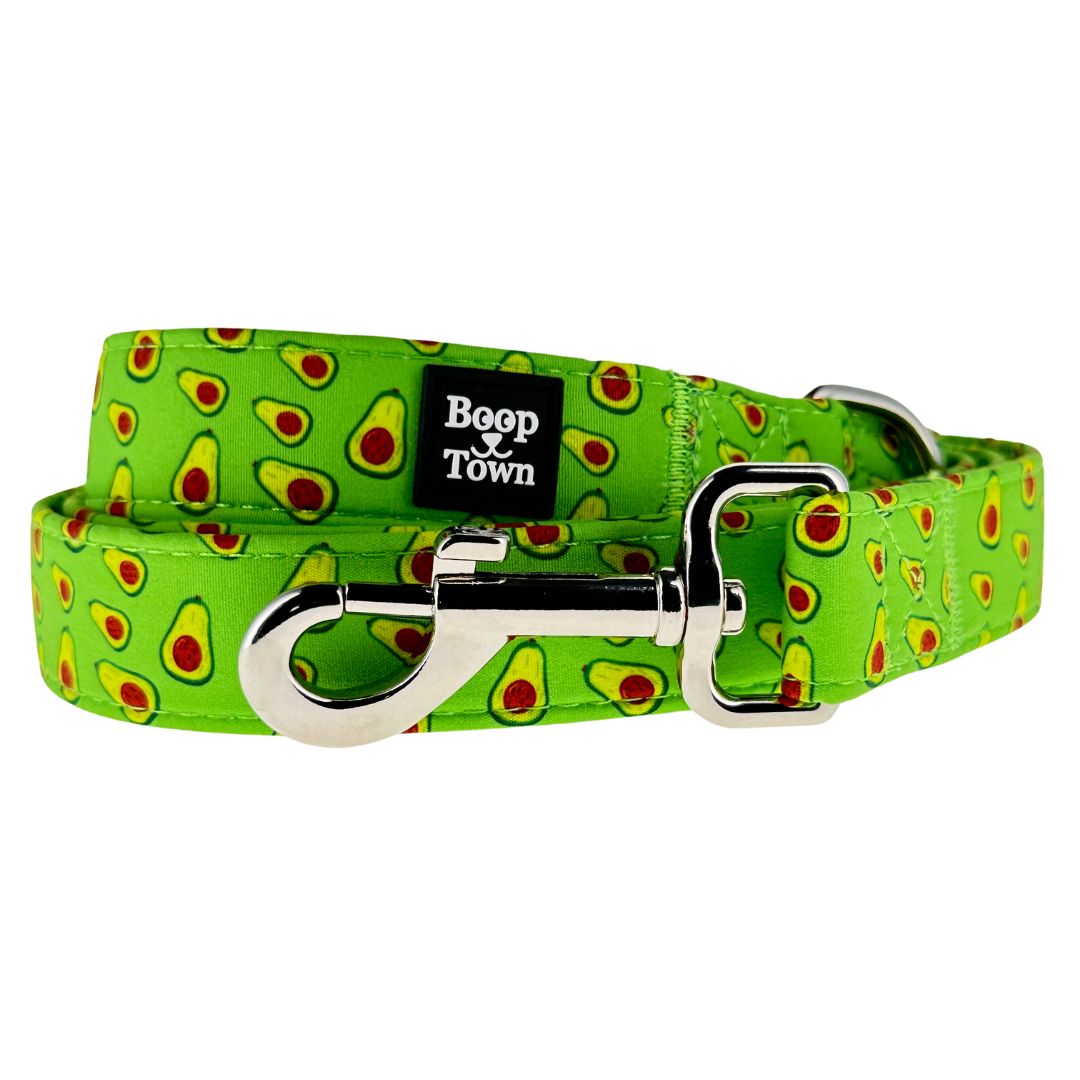laisses pour chiens