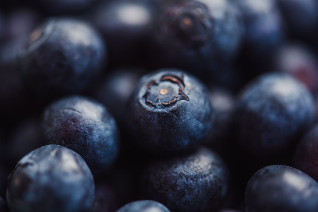 Blueberry Flavored Yak Cheese Chew - Made with REAL BLUEBERRY Puree - Single
