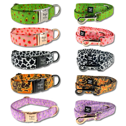 Ensembles collier et laisse pour chien