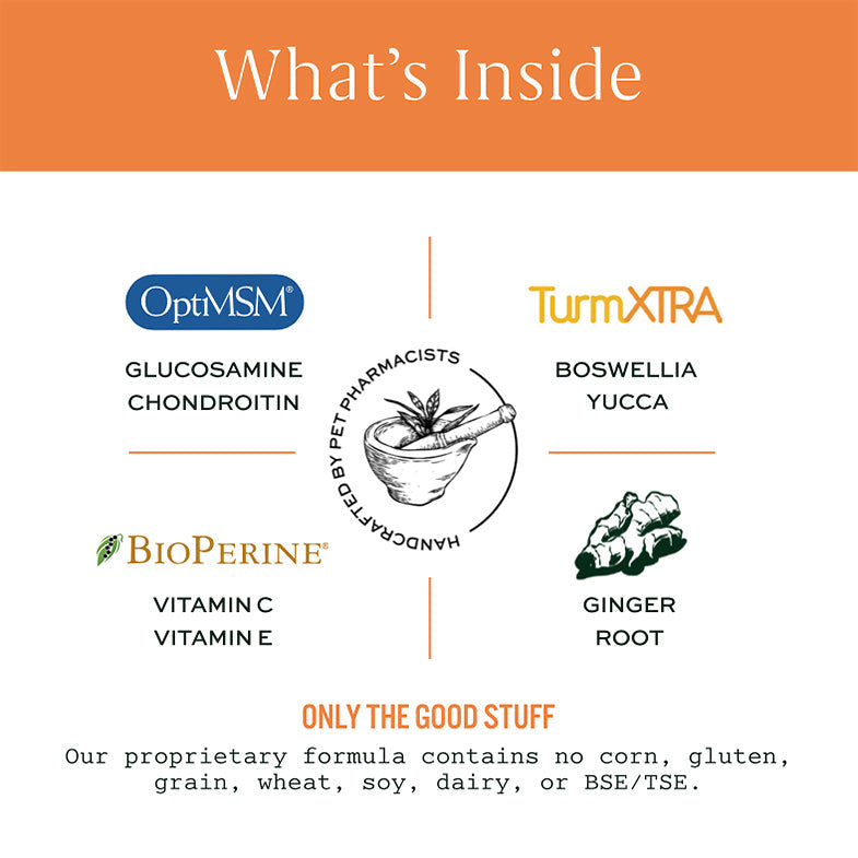 Mobility Bites 100-count jar