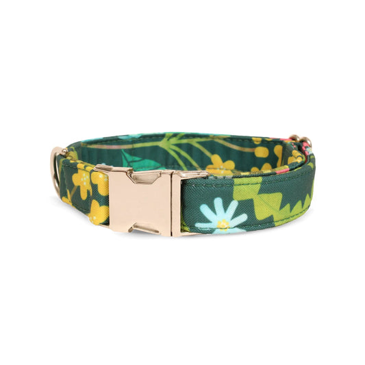 Collier pour chien Eden recyclé