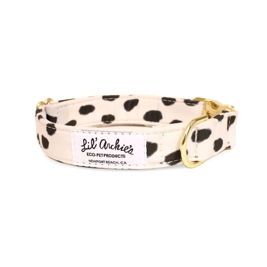 Collier pour chien recyclé de San Francisco