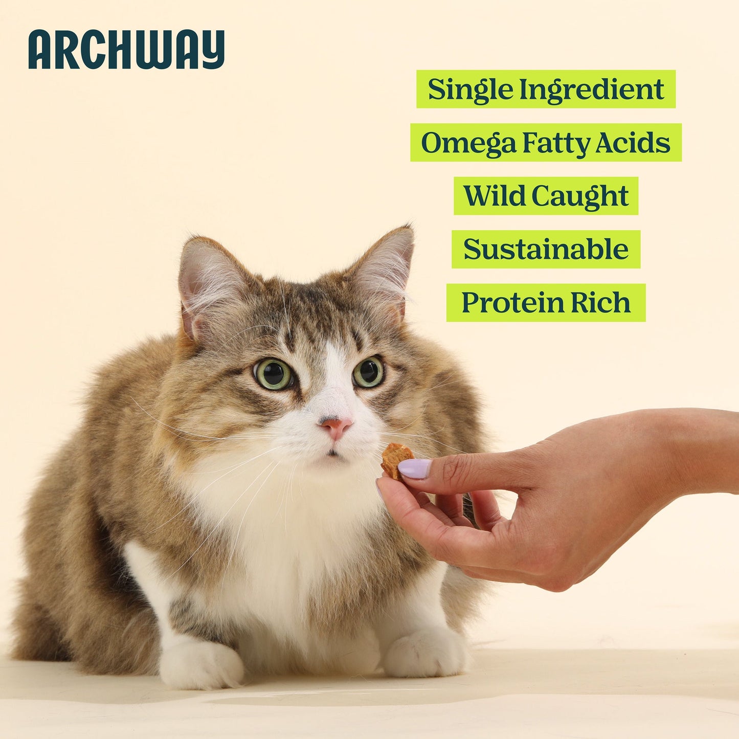 Carpes argentées pour chats