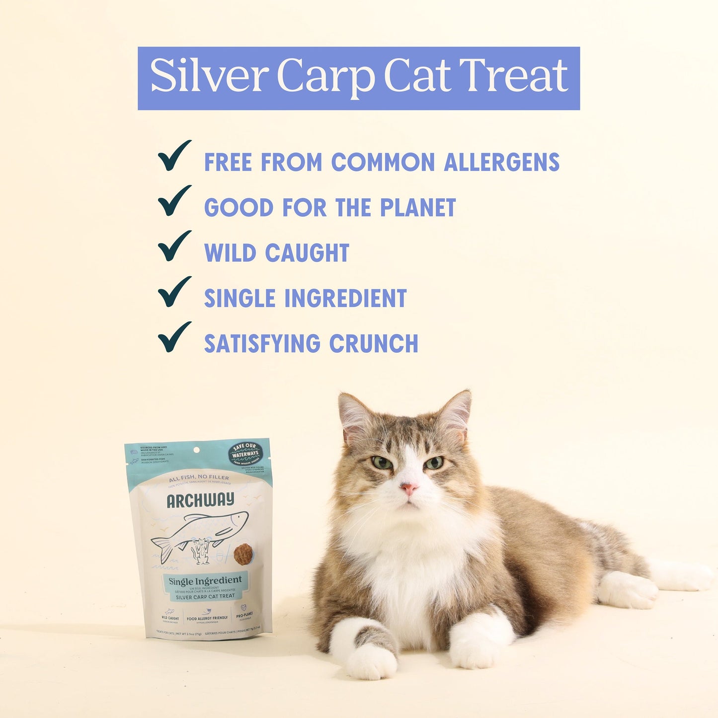 Carpes argentées pour chats