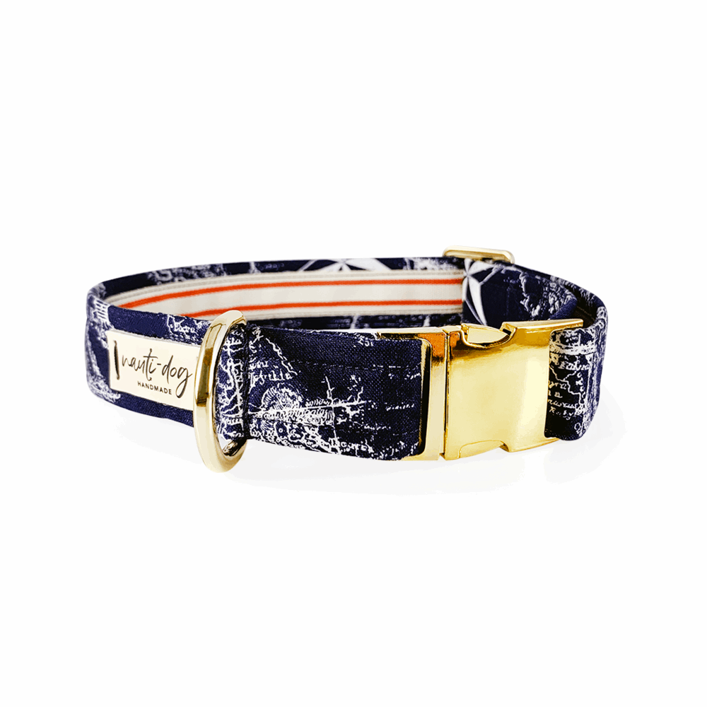 Collier pour chien Carta Marina Navy Vintage Nautical Toile Buckle &amp; Martingale