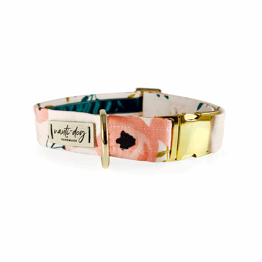 Collier pour chien Charleston Blush Floral Tea Rose à boucle et martingale