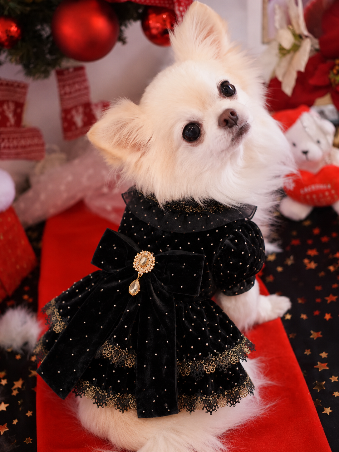 Midnight Velvet Princess Dog Dress – Luxury Black Polka Dot Puppy Dress with Gold Lace & Crystal Bow