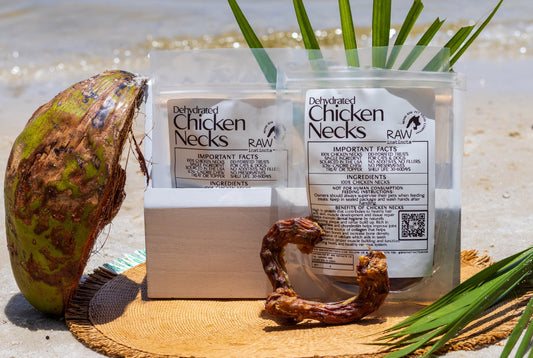 Cous de poulet déshydratés pour chats et chiens — 100 % d'origine américaine | Raw Instincts Florida | Lot de 4
