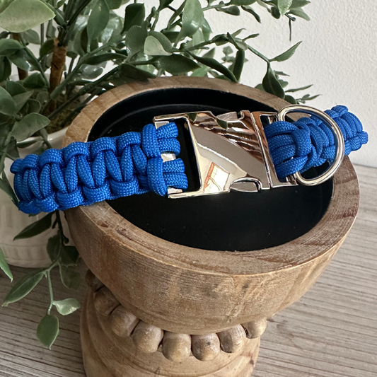 Collier pour chien fait main avec tresse cobra bleu roi