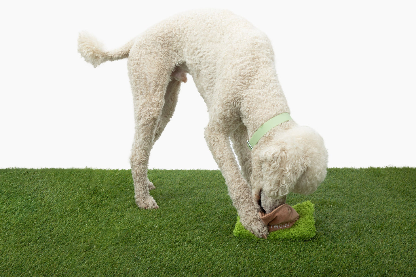 Juguete para perros Hollywoof Nose Work