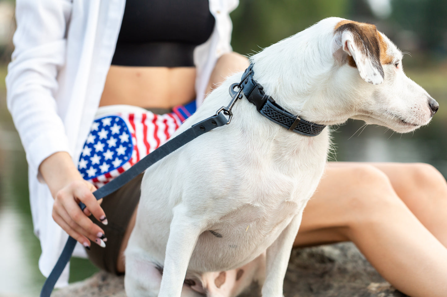 Collar de cuero para perro Celtic Sport Blue Jeans