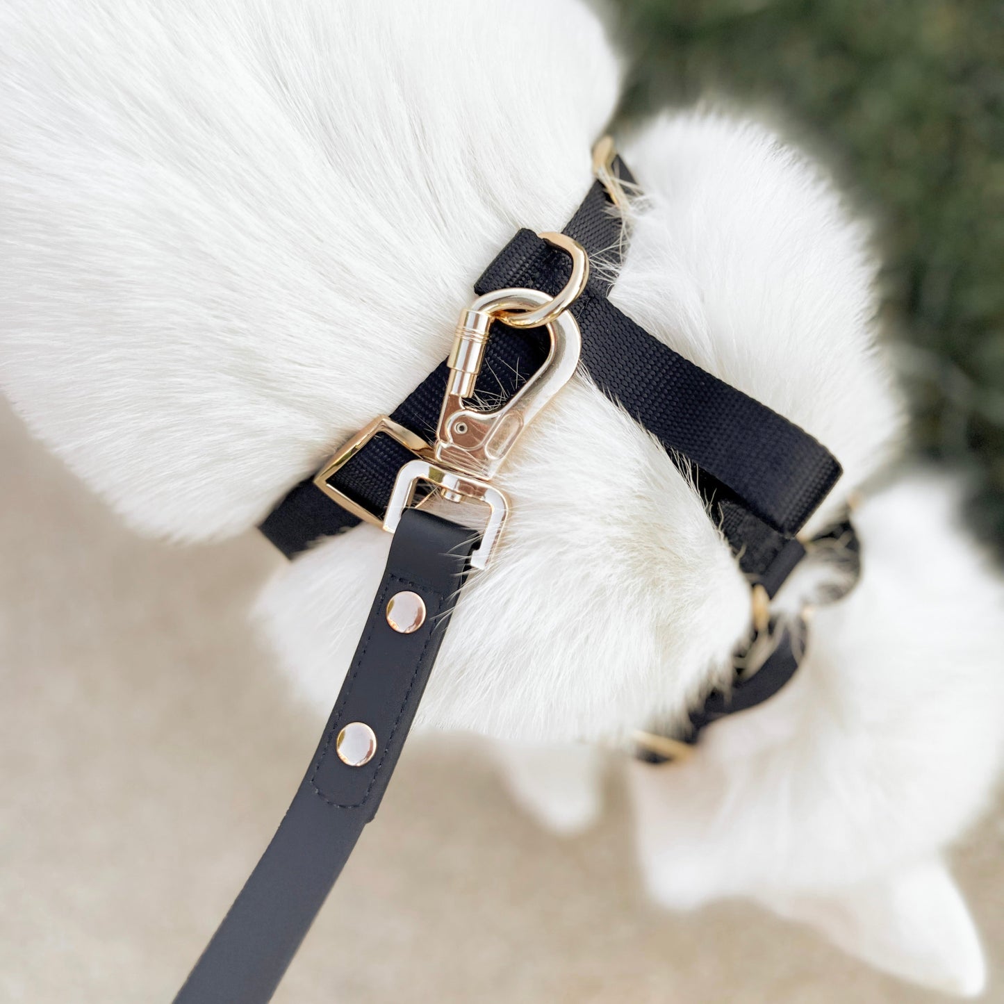 Coffret Essentiels pour la Marche - Noir