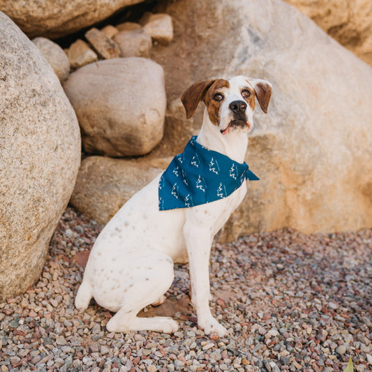 Bandana avec logo Alpha Pak 