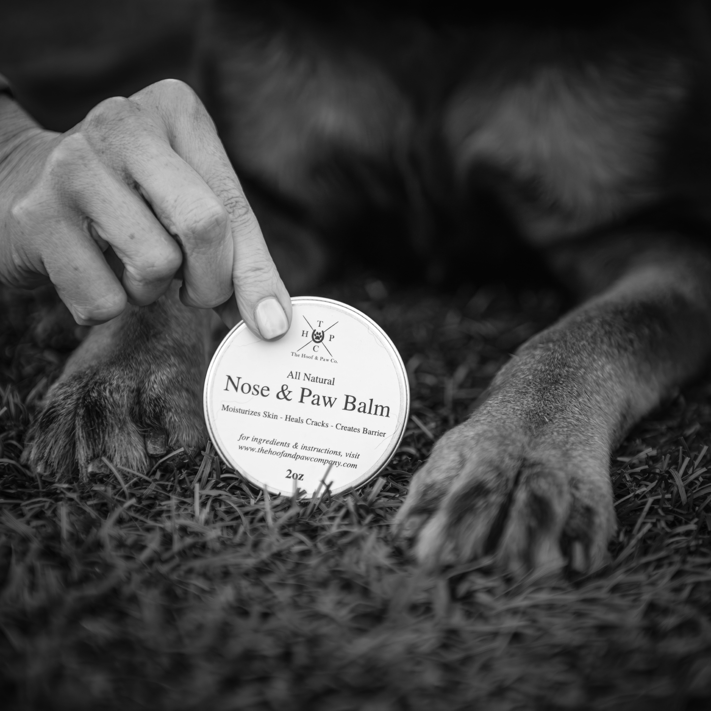 Bálsamo para nariz y patas de perro - 2 oz