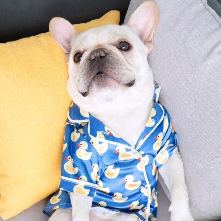 Pijama de seda de pato para mascotas