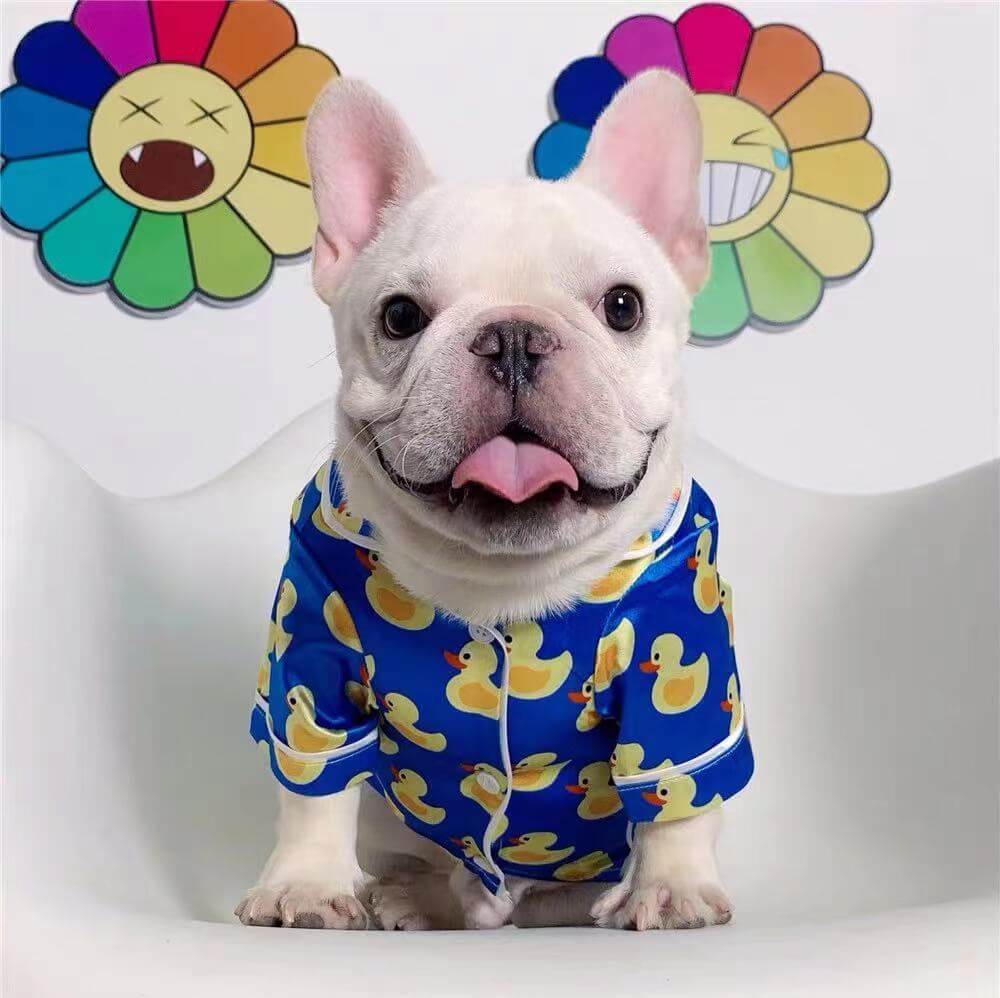 Pijama de seda de pato para mascotas