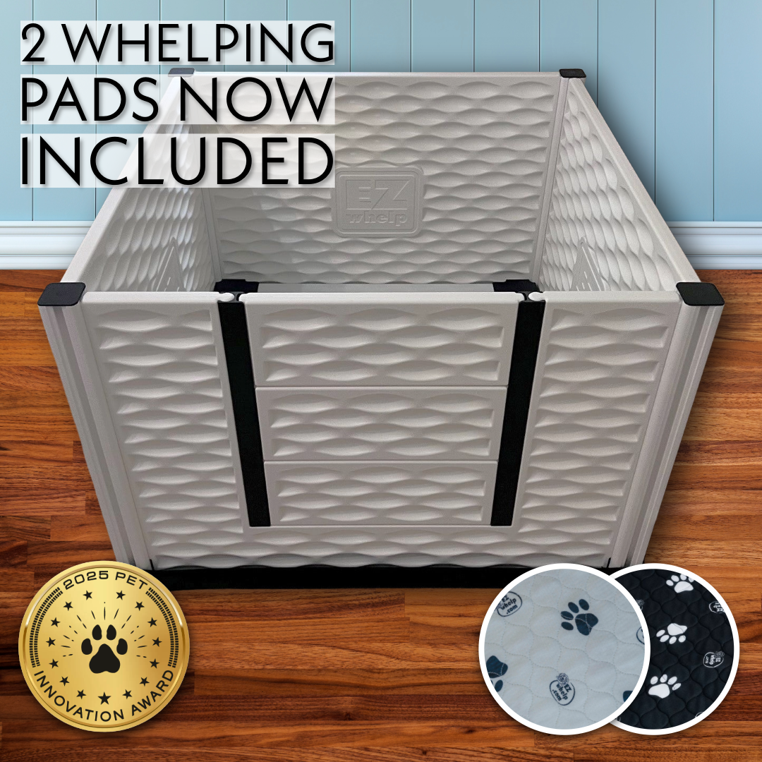 Caja de parto alta EZclassic con rieles