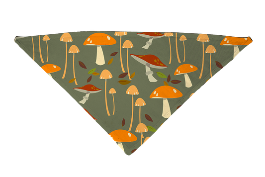 Bandana pour chien sous le sol de la forêt